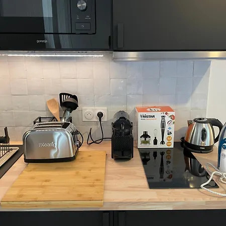 Renove Avec Balcon Pres Des Champs-elysees Daire *