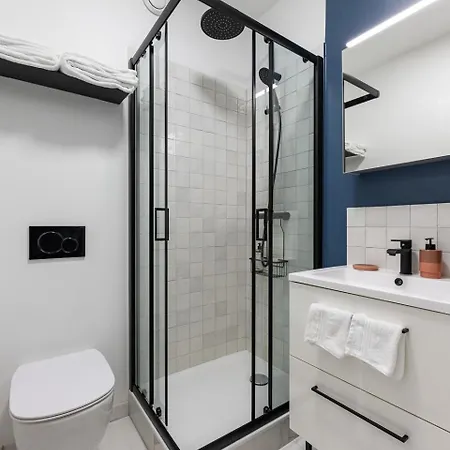 Renove Avec Balcon Pres Des Champs-elysees