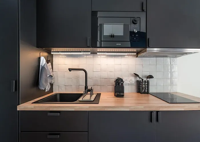 Rénové Avec Balcon Près Des Champs-elysées Appartement Paris