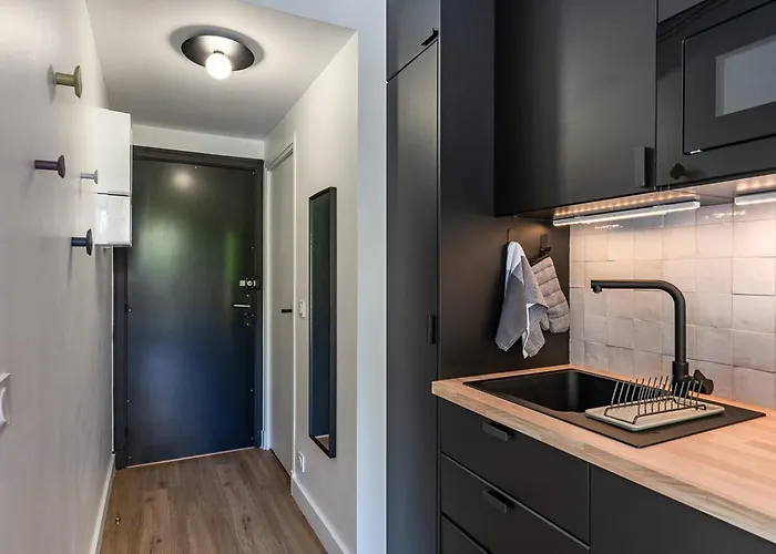 Appartement Rénové Avec Balcon Près Des Champs-elysées